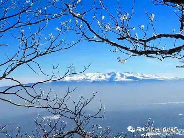 卓郎智能最新公告:控股股东拟被动减持股份